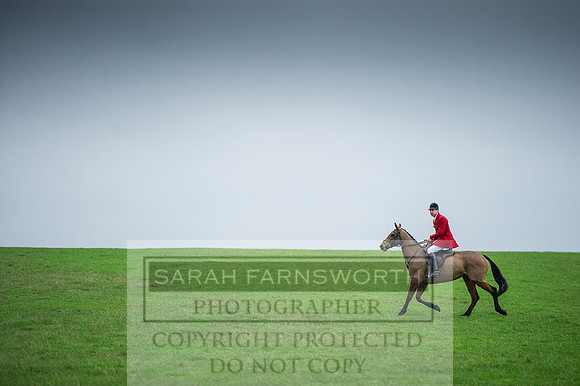 Holderness 031215-1