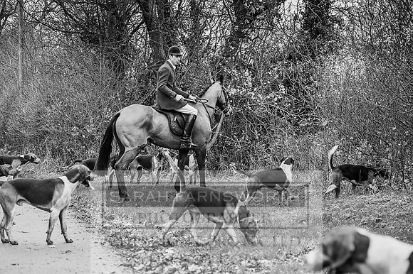 Holderness 031215-270 bw