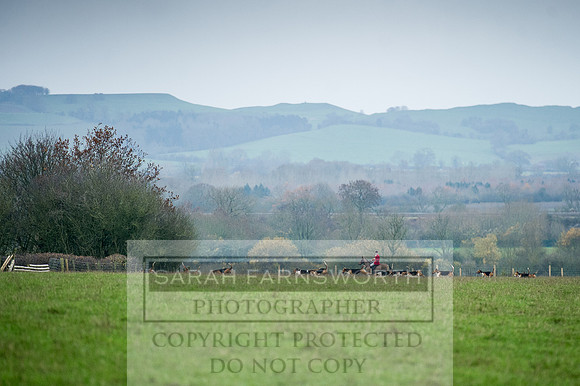 Holderness 031215-112