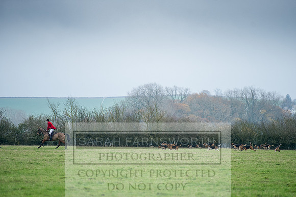 Holderness 031215-121