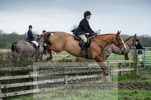 Holderness 031215-181