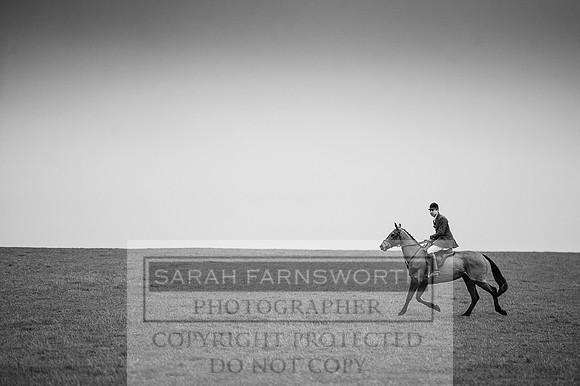Holderness 031215-1 bw