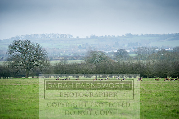Holderness 031215-117