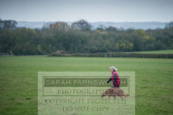 Holderness 031215-108