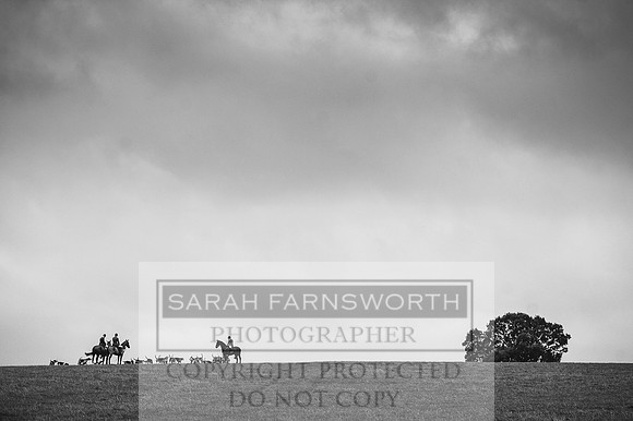 Holderness 031215-14 bw
