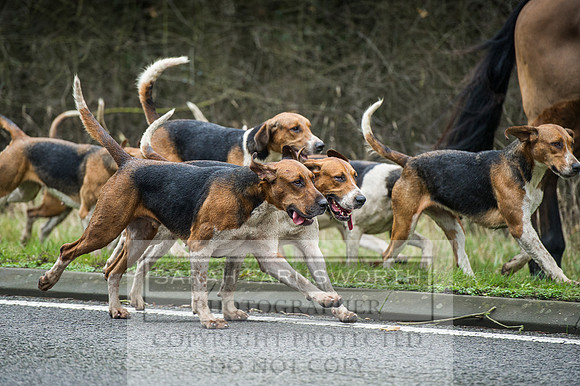 Holderness 031215-287