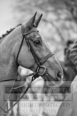 Holderness 031215-52 bw