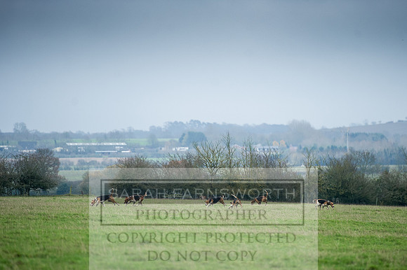 Holderness 031215-120