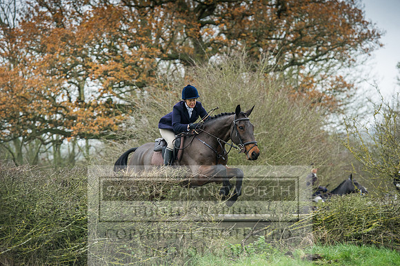 Holderness 031215-233