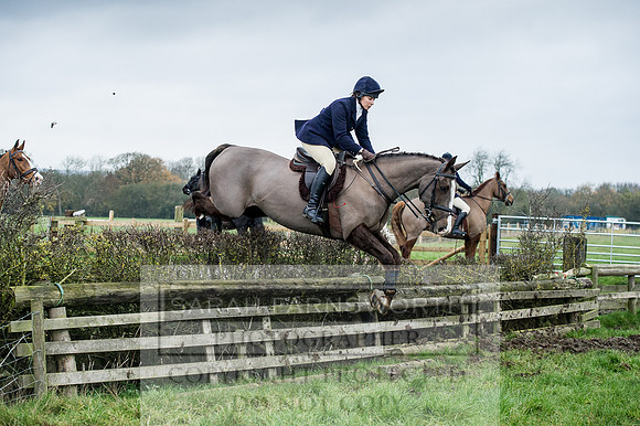 Holderness 031215-150