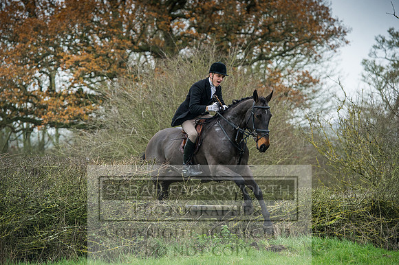 Holderness 031215-210