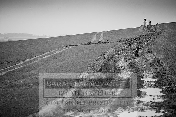 Holderness 031215-247 bw