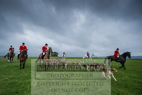 Holderness 031215-23