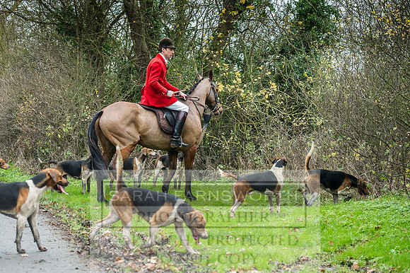 Holderness 031215-269
