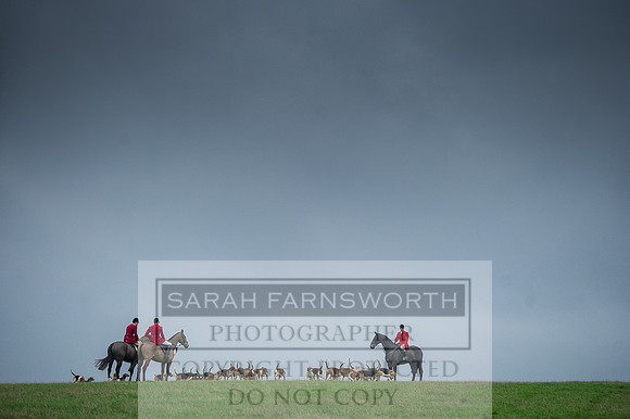 Holderness 031215-13