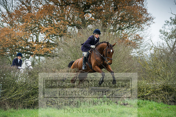 Holderness 031215-225