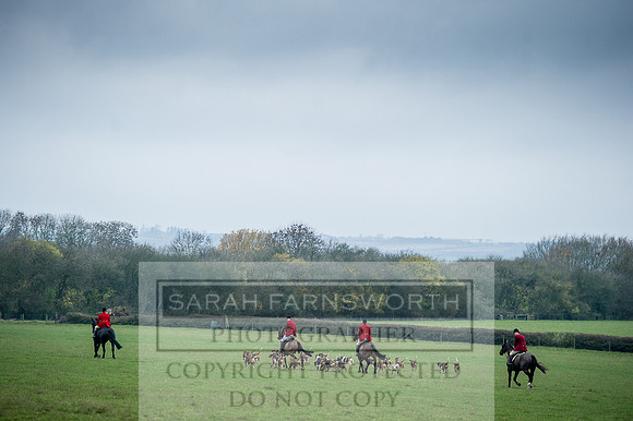 Holderness 031215-70