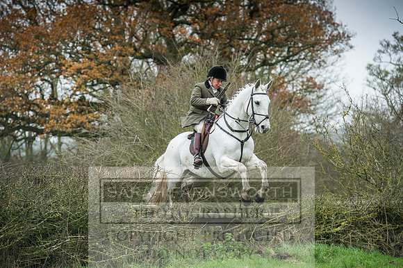 Holderness 031215-207