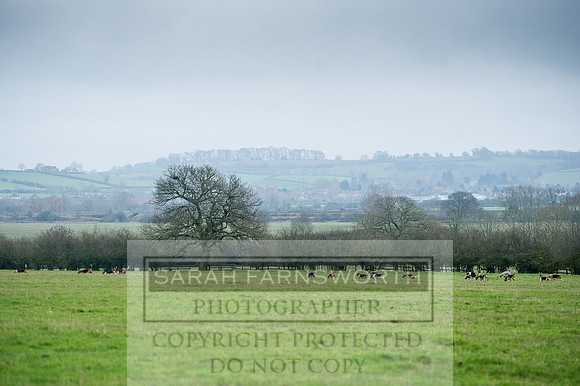 Holderness 031215-116