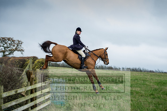 Holderness 031215-87