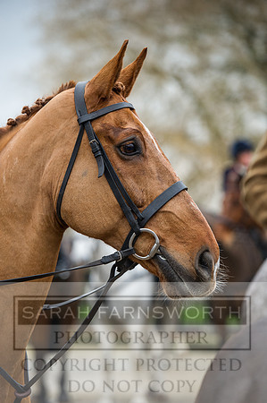 Holderness 031215-52