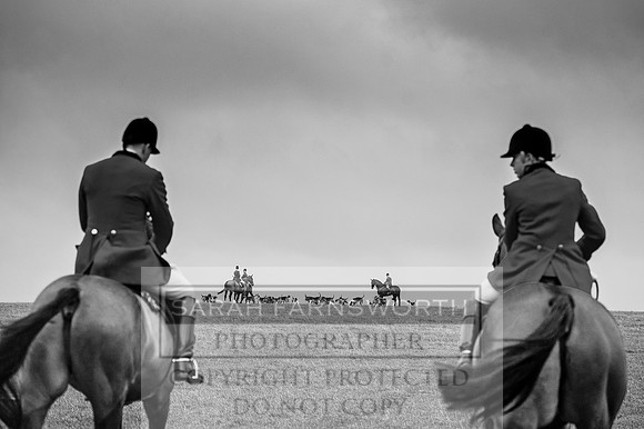 Holderness 031215-15 bw