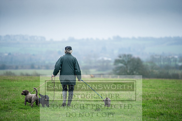 Holderness 031215-113