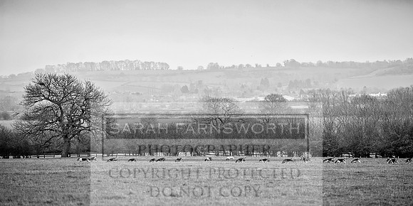 Holderness 031215-118 bw