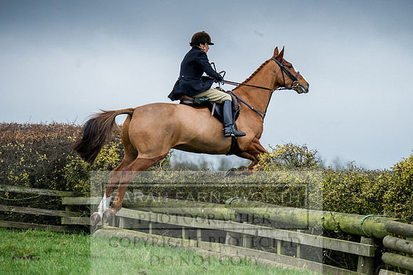 Holderness 031215-75