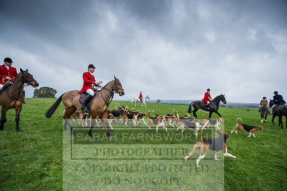 Holderness 031215-24