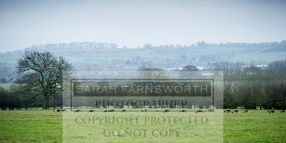 Holderness 031215-118