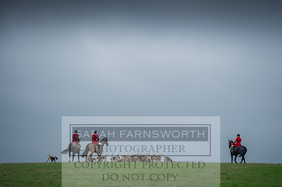 Holderness 031215-11