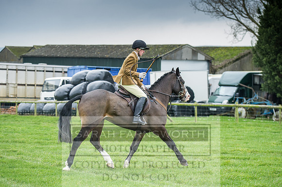 Holderness 031215-25
