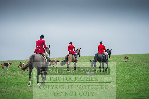 Holderness 031215-8