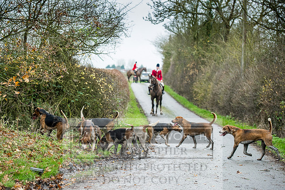 Holderness 031215-266