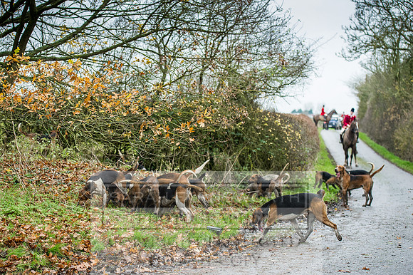 Holderness 031215-267