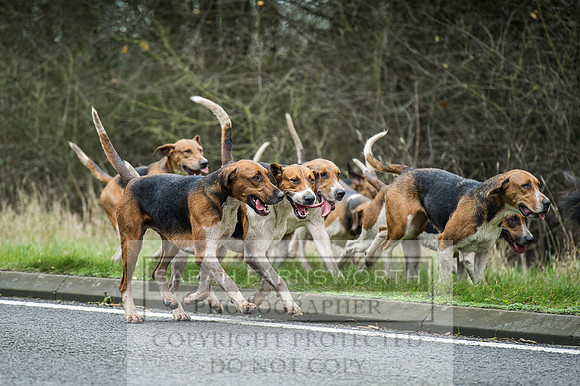 Holderness 031215-285