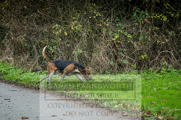Holderness 031215-263