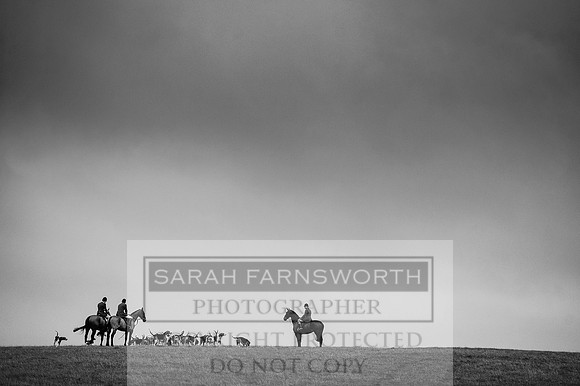 Holderness 031215-12 bw