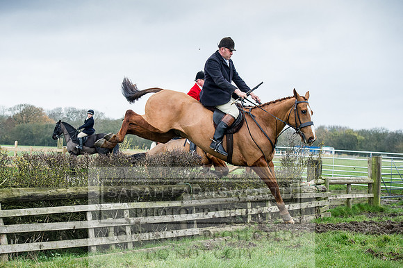Holderness 031215-154