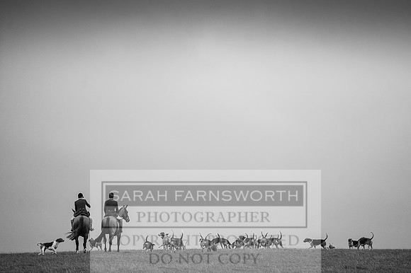 Holderness 031215-10 bw