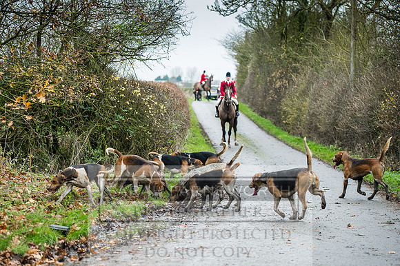 Holderness 031215-265