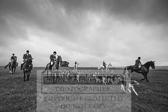 Holderness 031215-23 bw