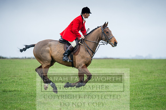 Holderness 031215-111
