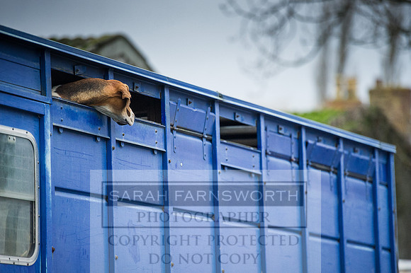 Holderness 031215-2