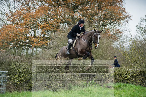Holderness 031215-242