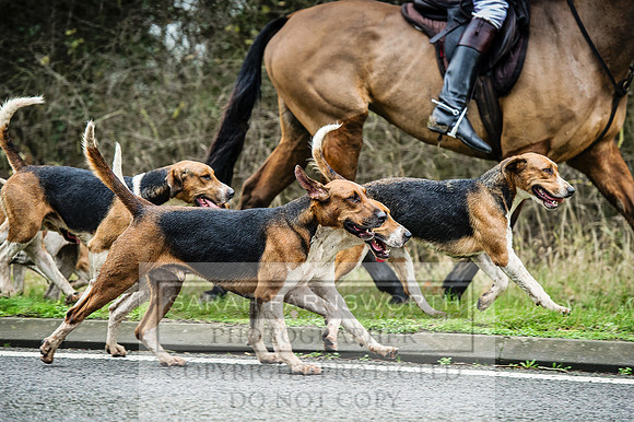 Holderness 031215-288