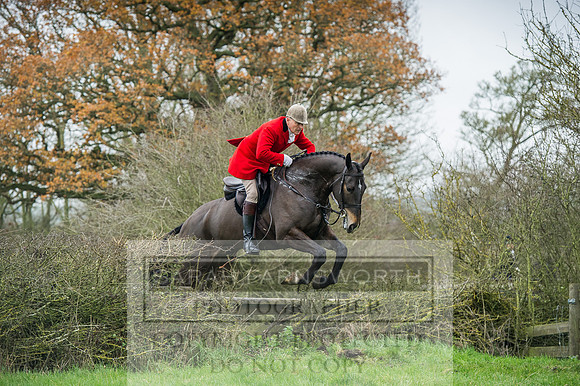 Holderness 031215-241
