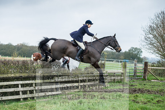 Holderness 031215-158