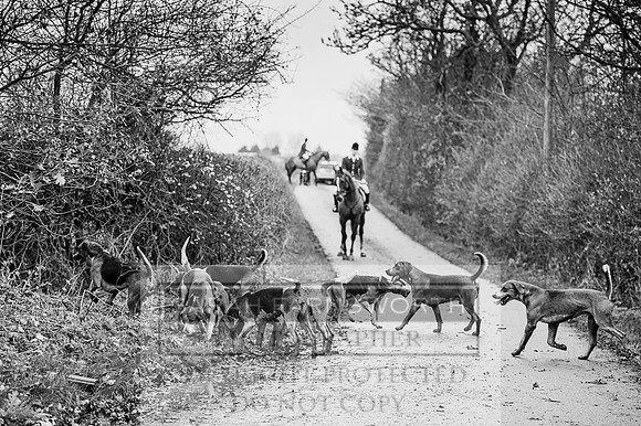 Holderness 031215-266 bw
